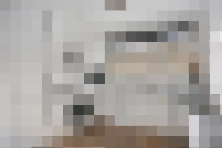 Luit 23 Kampen thumbnail 12