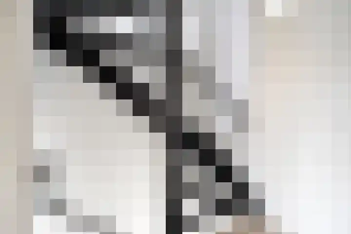 Luit 23 Kampen thumbnail 13
