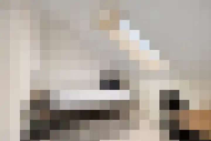 Luit 23 Kampen thumbnail 22