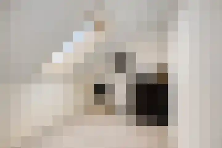 Luit 23 Kampen thumbnail 23
