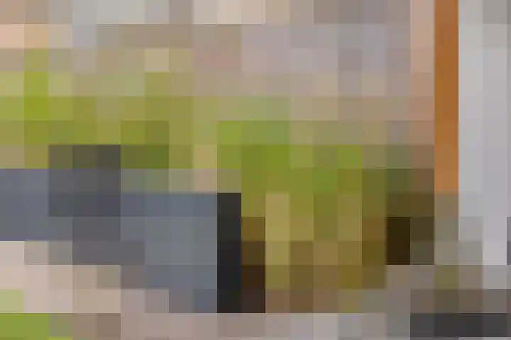 Luit 23 Kampen thumbnail 24