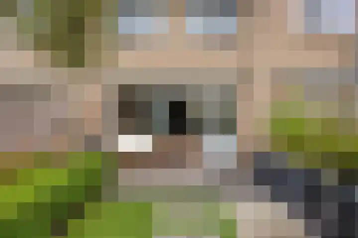 Luit 23 Kampen thumbnail 27