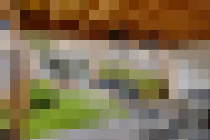 Luit 23 Kampen thumbnail 29