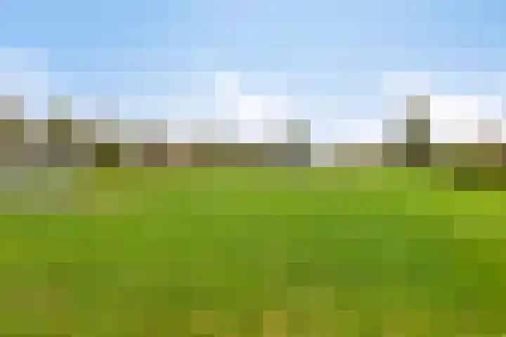 Luit 23 Kampen thumbnail 33