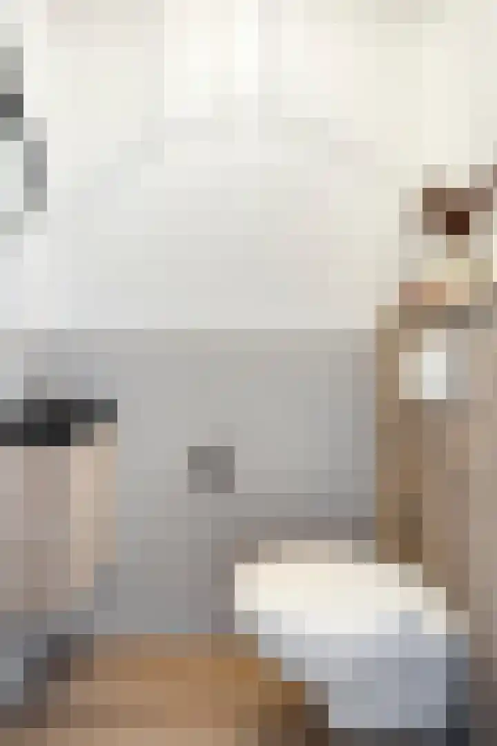 Luit 23 Kampen thumbnail 7
