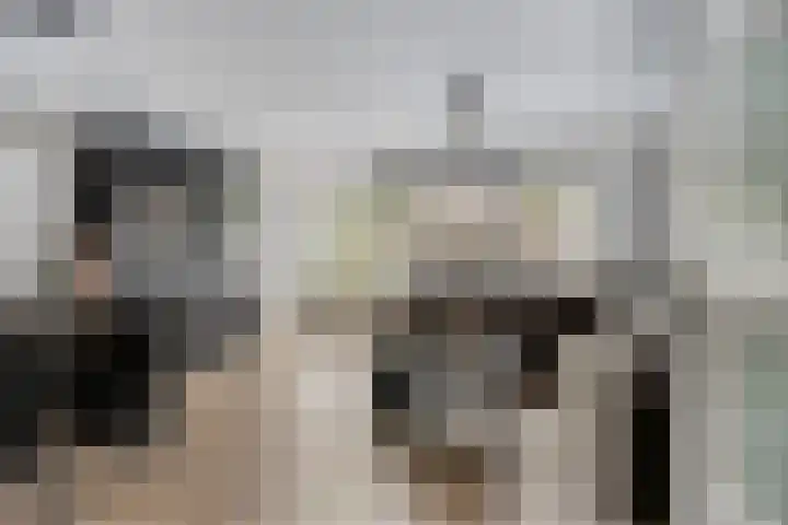 Luit 23 Kampen thumbnail 8