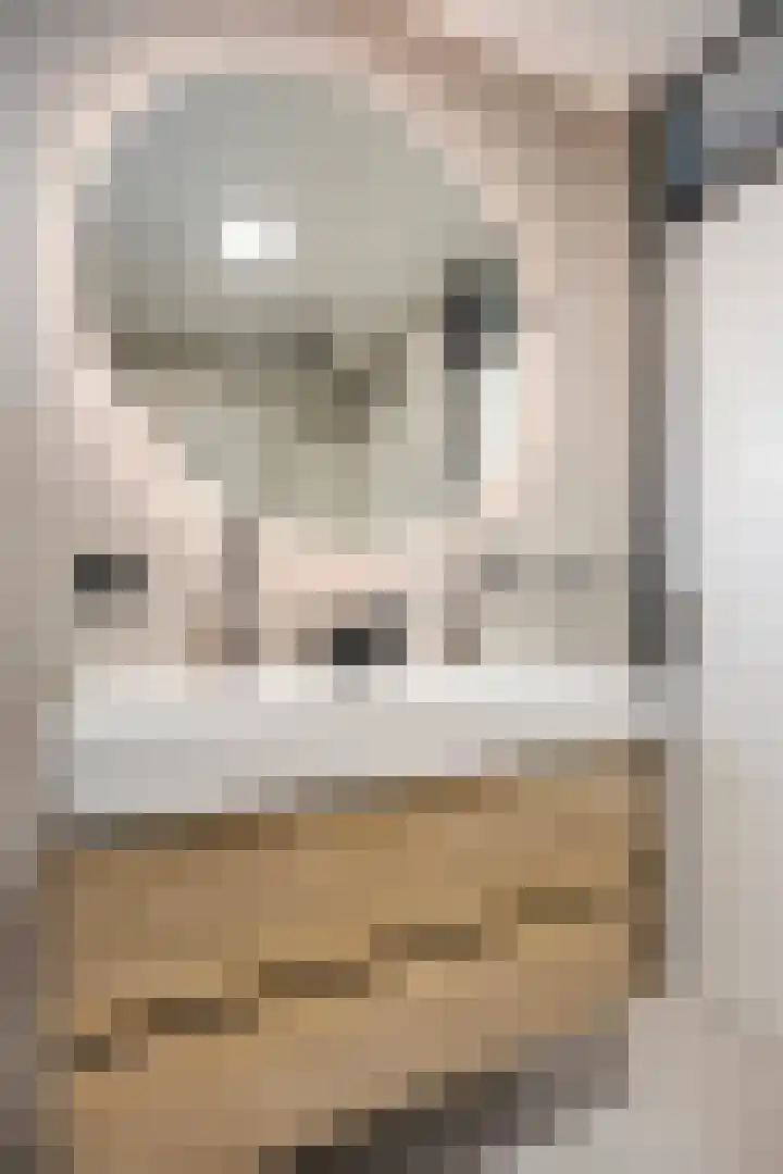 Luit 35 Kampen thumbnail 23