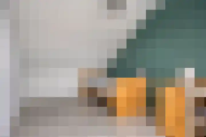 Luit 35 Kampen thumbnail 29
