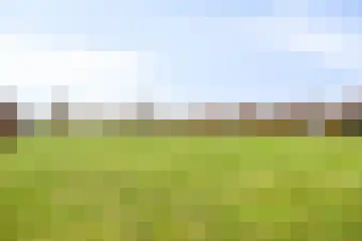 Luit 35 Kampen thumbnail 39