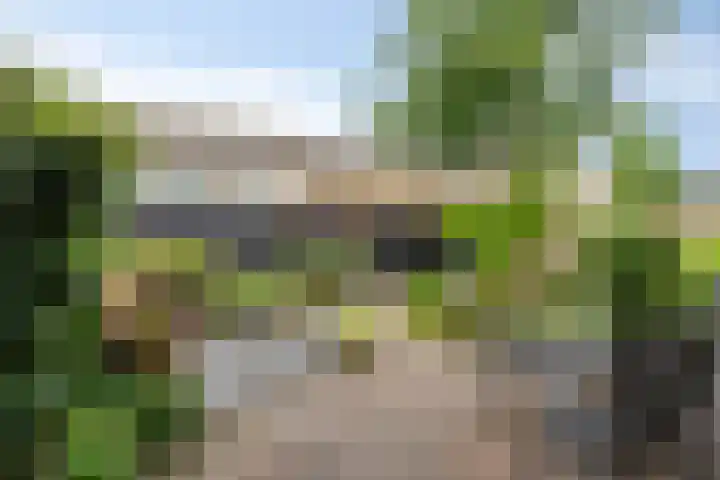 Luit 55 Kampen thumbnail 21