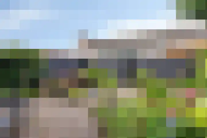 Luit 55 Kampen thumbnail 22