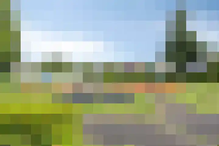 Luit 55 Kampen thumbnail 25