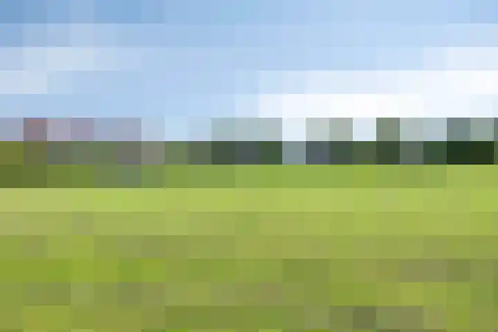 Luit 55 Kampen thumbnail 26