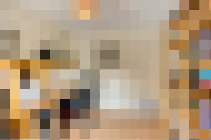 Luit 55 Kampen thumbnail 39