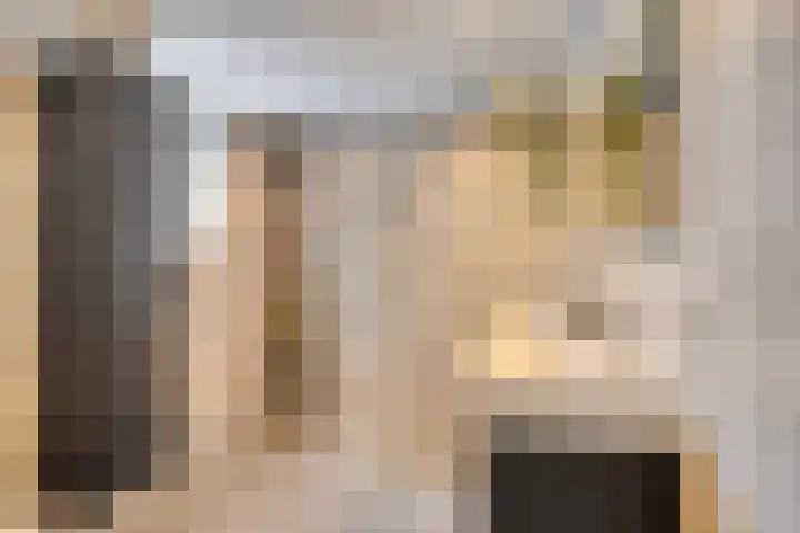 Luit 55 Kampen thumbnail 4