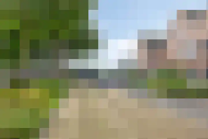 Luit 55 Kampen thumbnail 8