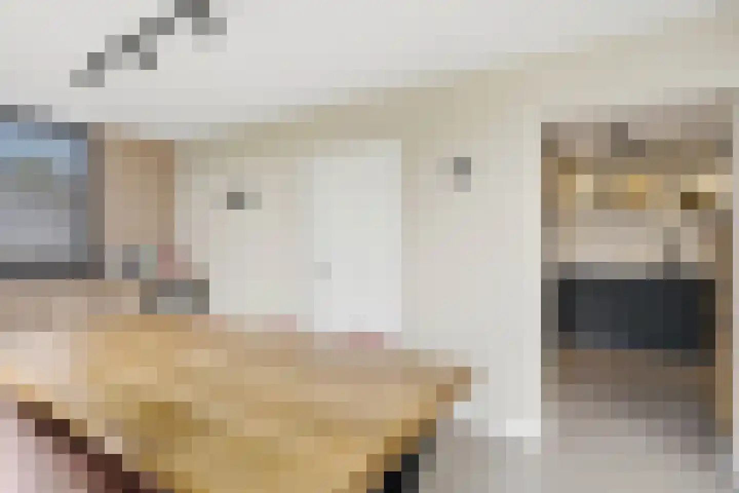 Luit 8 Ewijk thumbnail 12