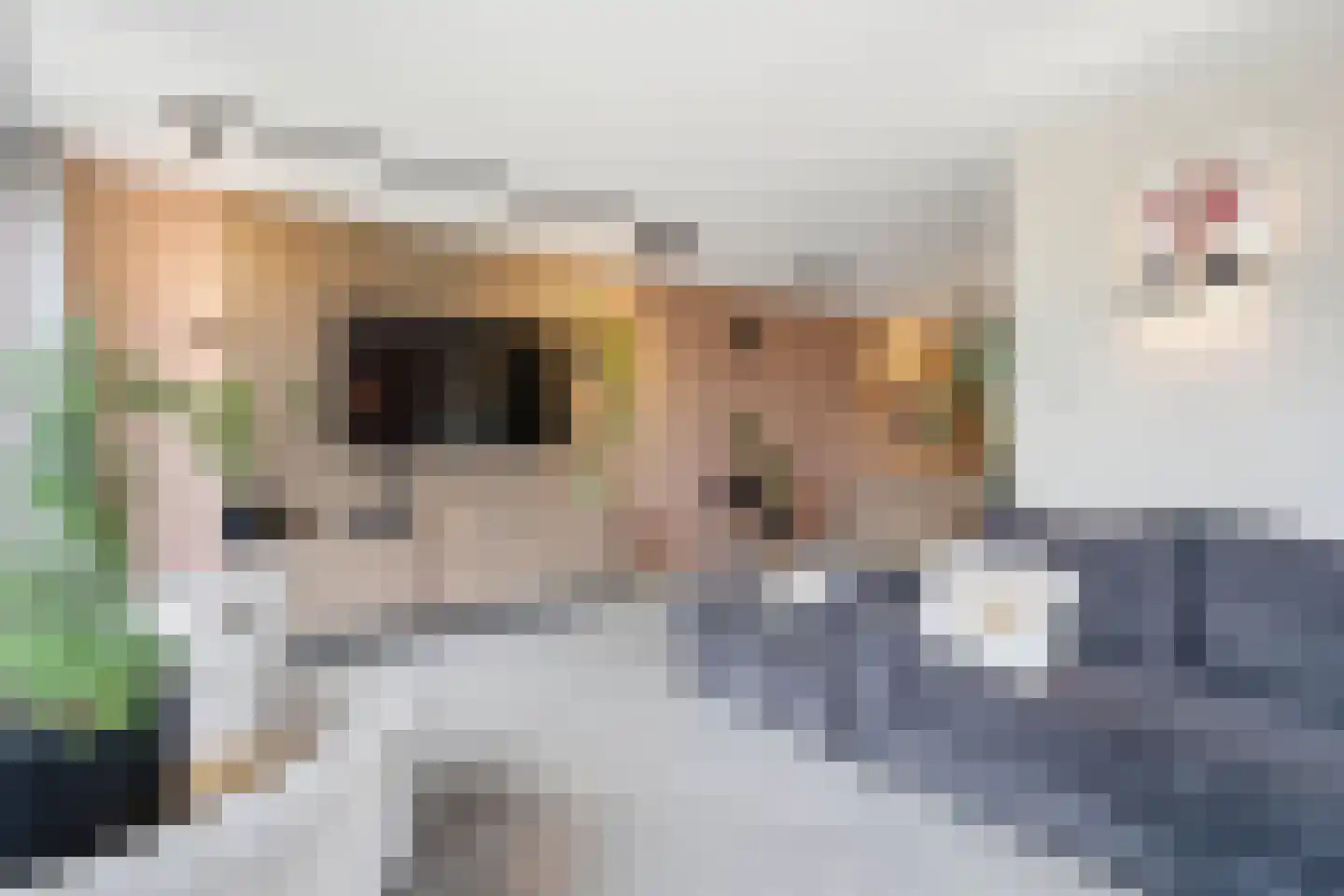 Luit 8 Ewijk thumbnail 15