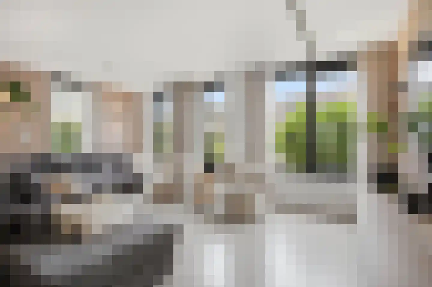 Luit 8 Ewijk thumbnail 16