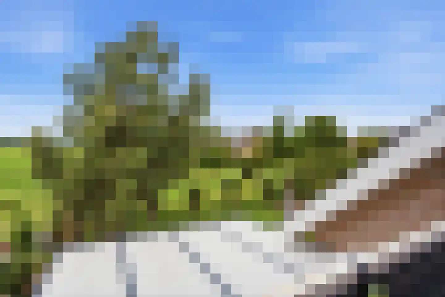 Luit 8 Ewijk thumbnail 25