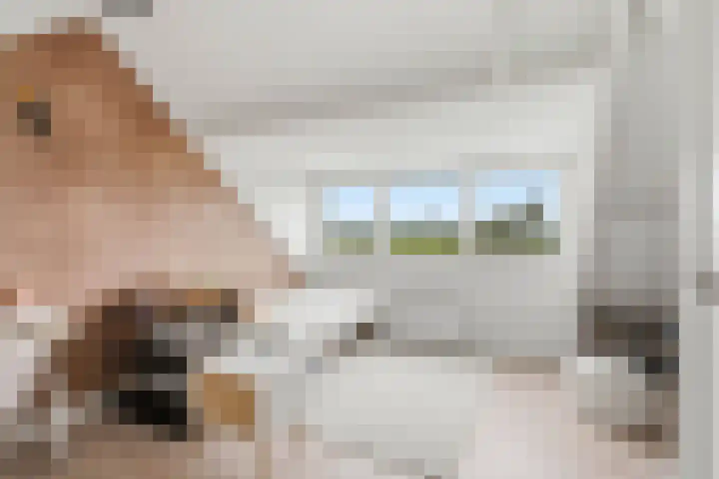Luit 8 Ewijk thumbnail 31
