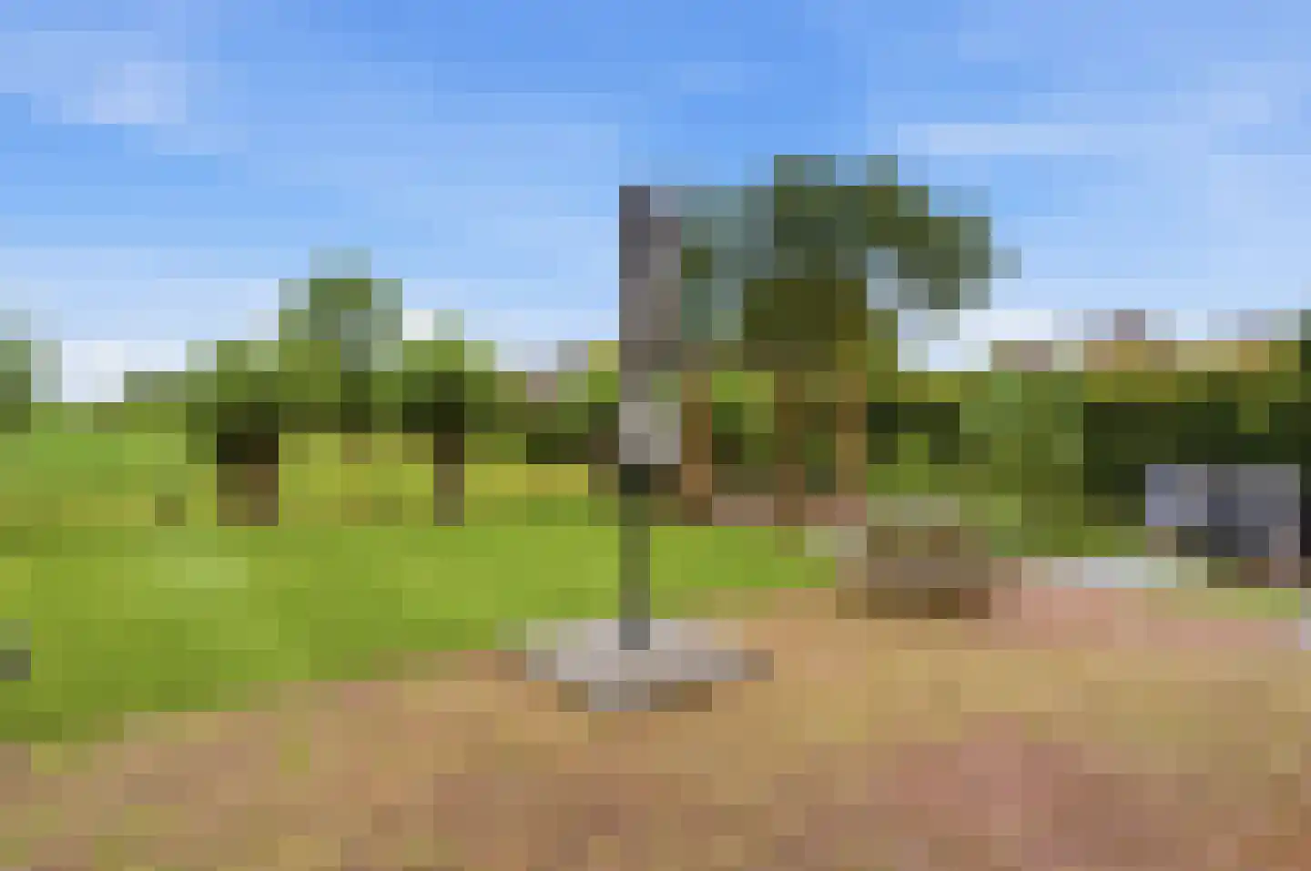 Luit 8 Ewijk thumbnail 38