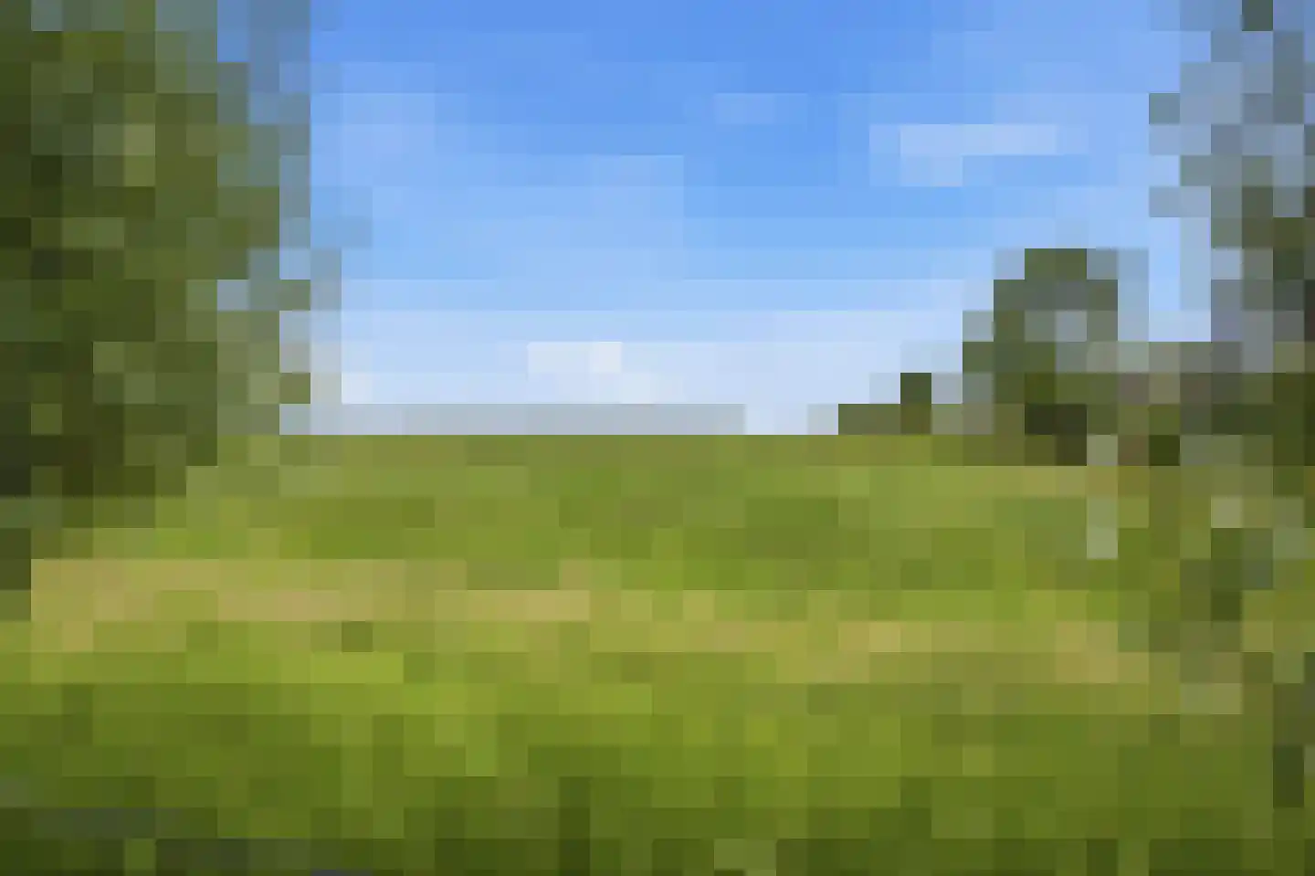 Luit 8 Ewijk thumbnail 40