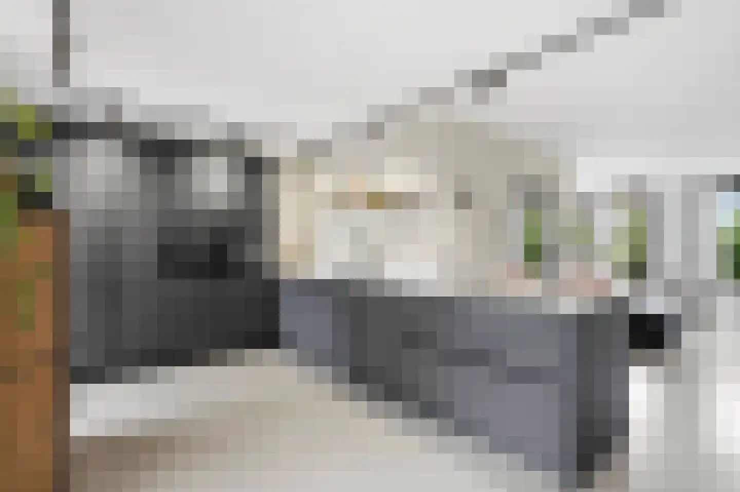Luit 8 Ewijk thumbnail 8