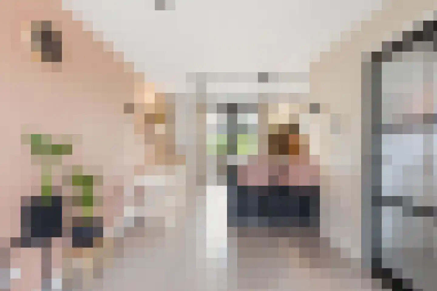 Luit 8 Ewijk thumbnail 9
