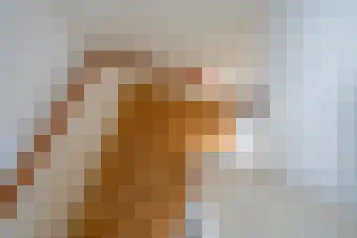 Luit Blomstraat 2 Utrecht thumbnail 20