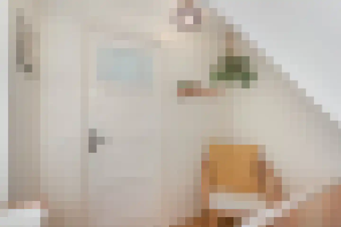 Luit Blomstraat 20 Utrecht thumbnail 21