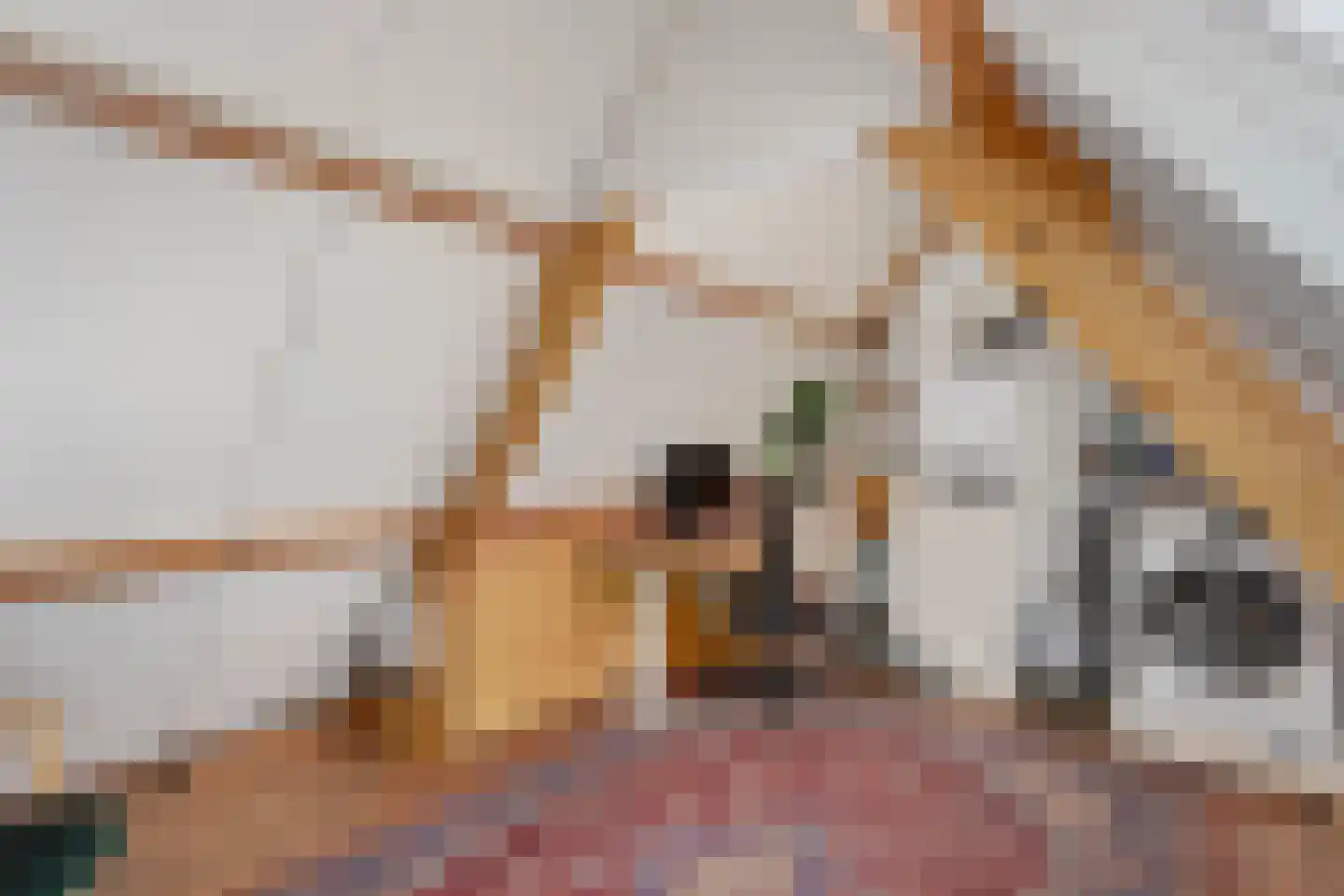 Luit Blomstraat 20 Utrecht thumbnail 22