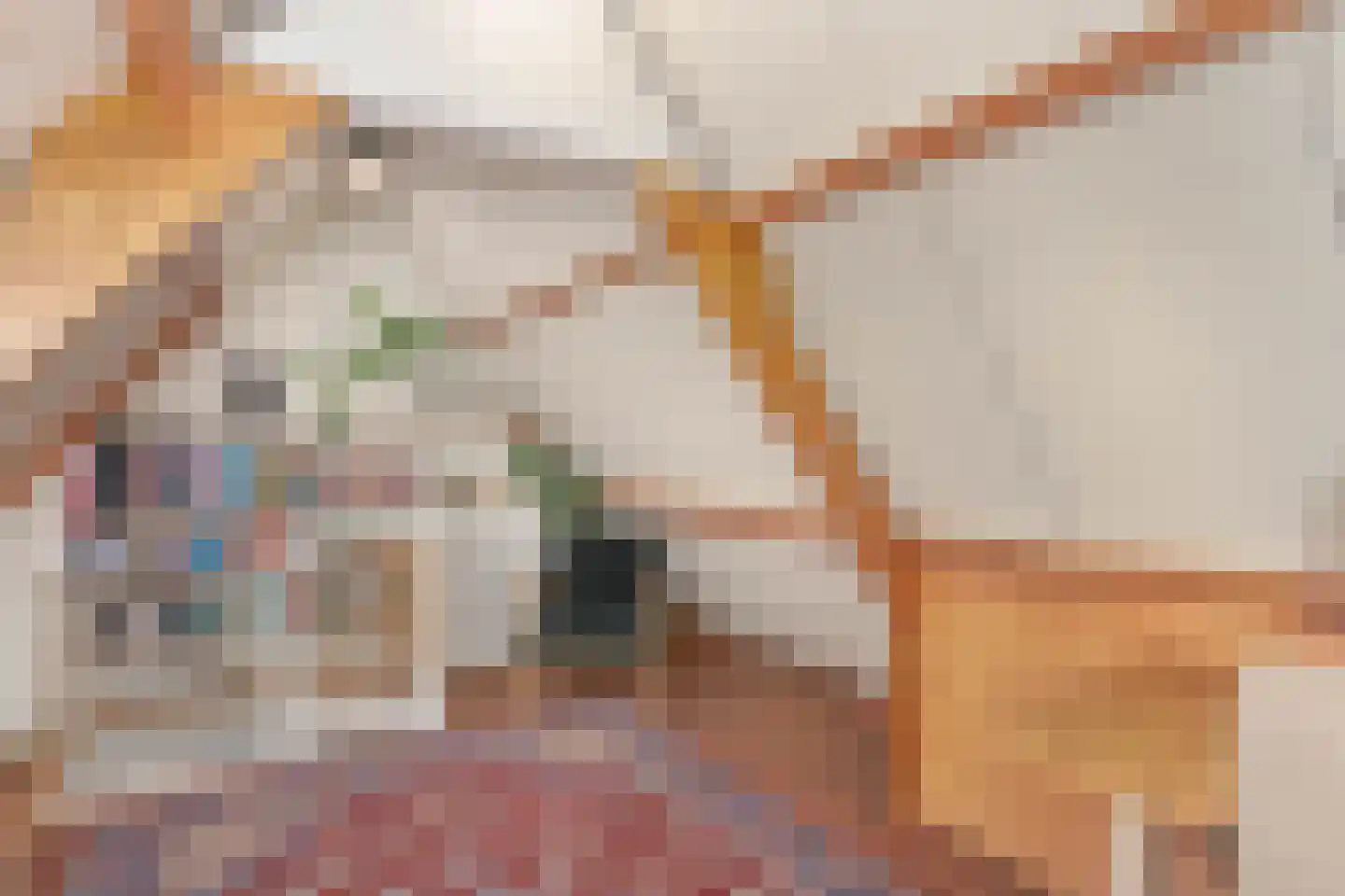 Luit Blomstraat 20 Utrecht thumbnail 23