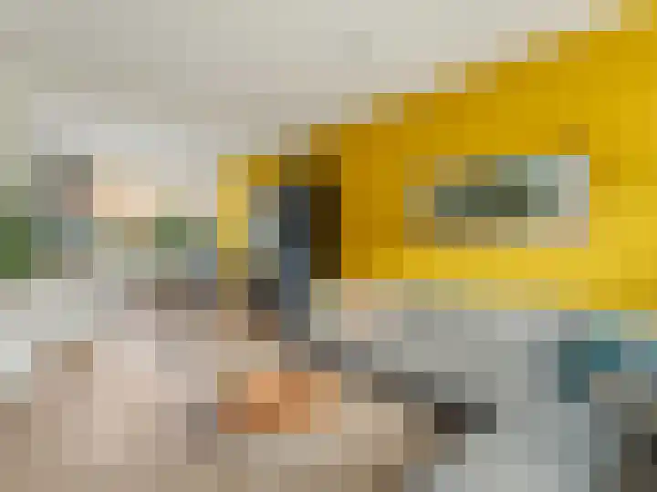 Luit Blomstraat 58 Utrecht thumbnail 12