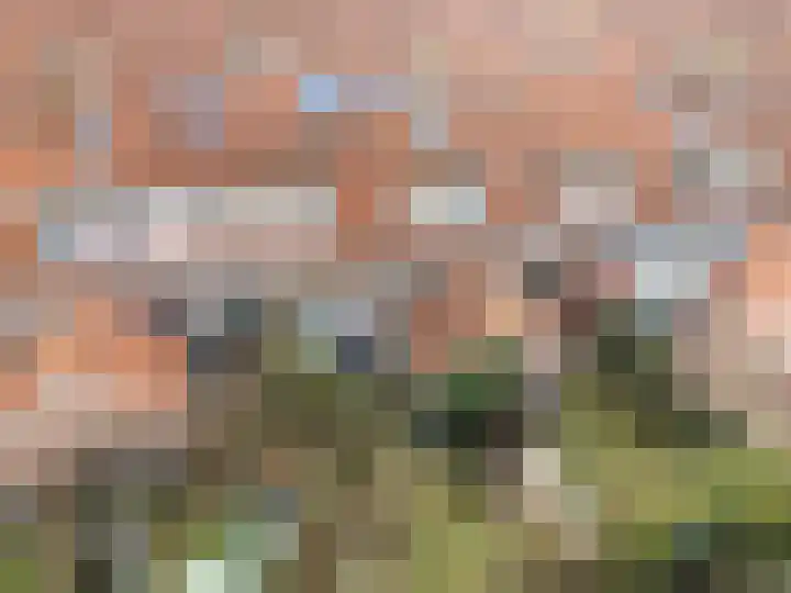 Luit Blomstraat 58 Utrecht thumbnail 23