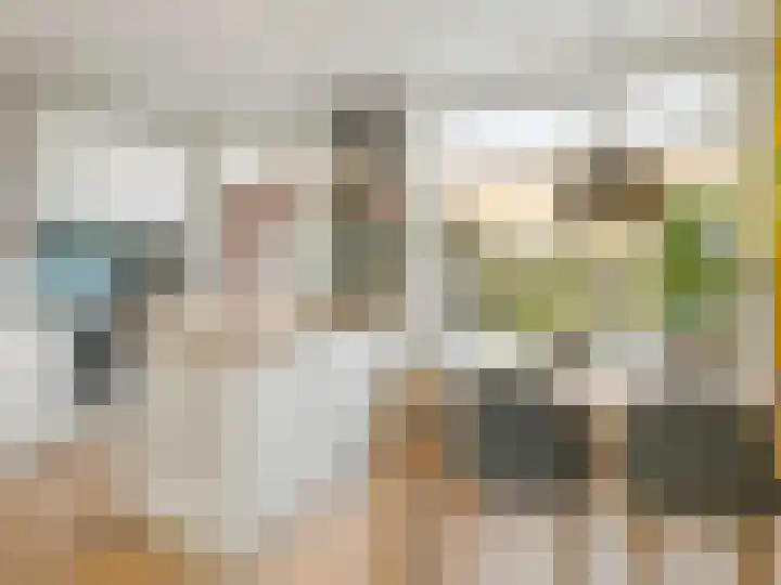 Luit Blomstraat 58 Utrecht thumbnail 4