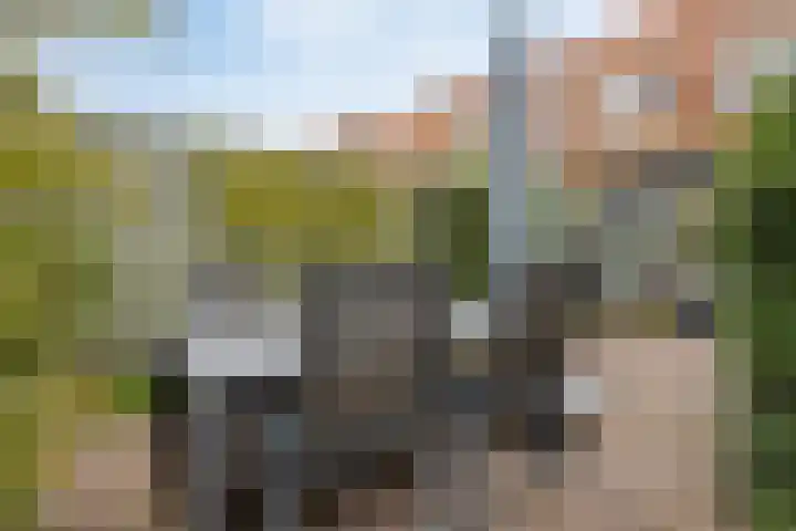 Luit Blomstraat 6 Utrecht thumbnail 24