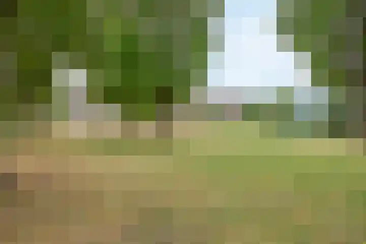 Luit Blomstraat 6 Utrecht thumbnail 26