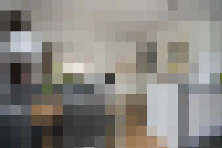 Luit Blomstraat 6 Utrecht thumbnail 7
