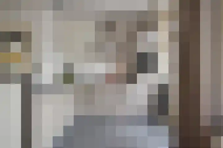 Luit Blomstraat 6 Utrecht thumbnail 8