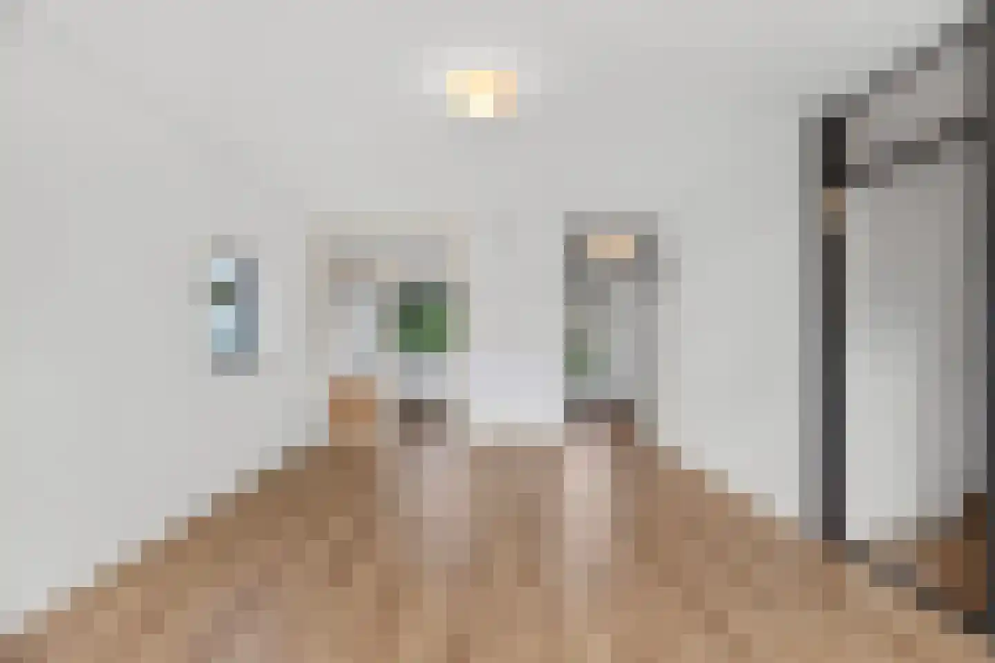 Luit Looymanshof 24 Oudenbosch thumbnail 14