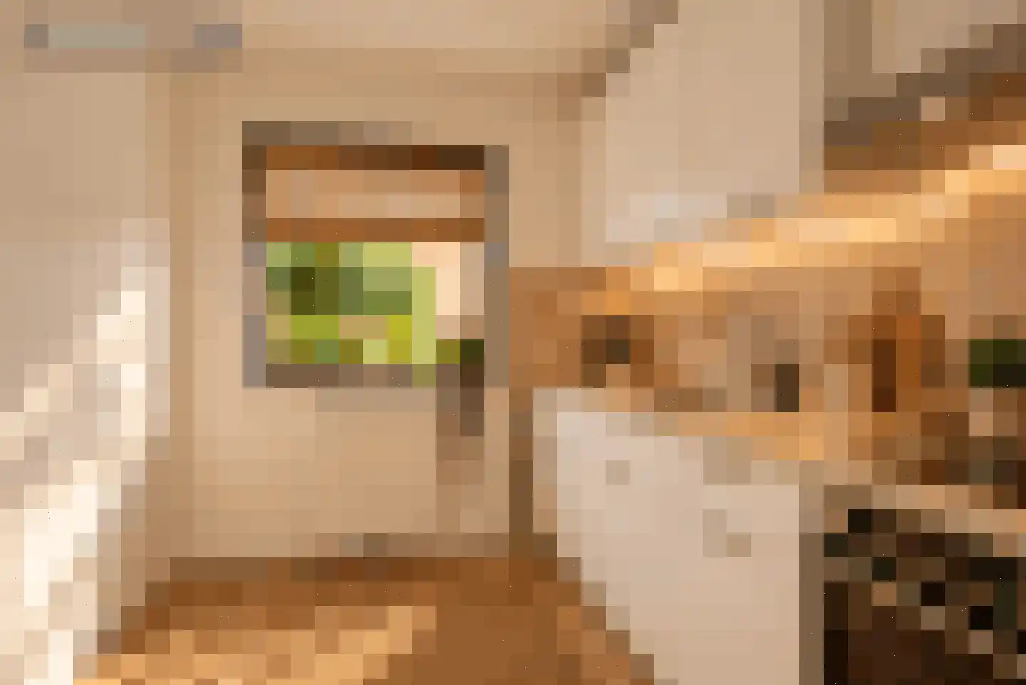 Luit Looymanshof 24 Oudenbosch thumbnail 16