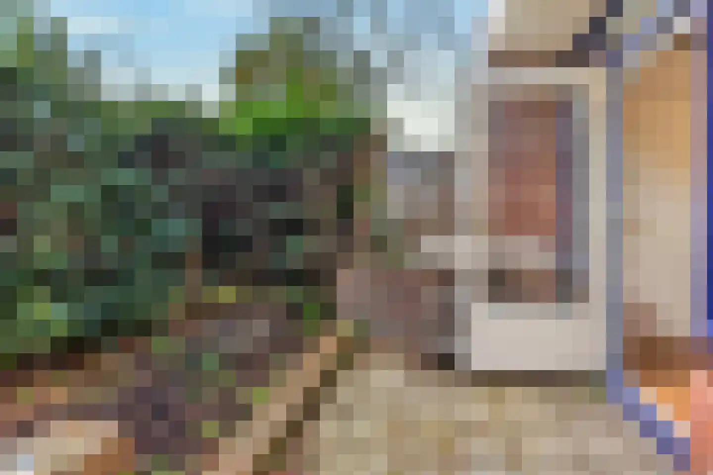 Luit Looymanshof 24 Oudenbosch thumbnail 18
