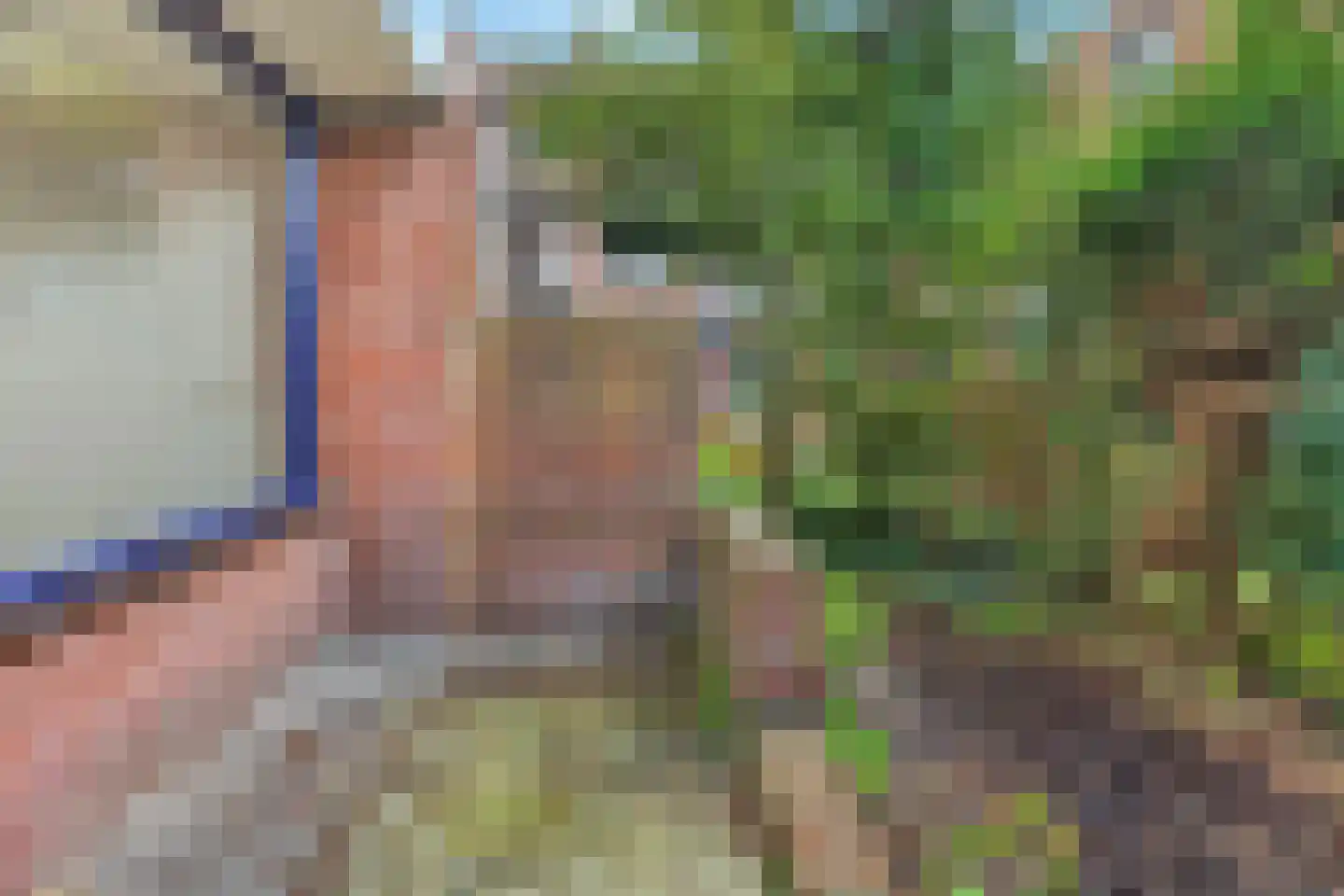Luit Looymanshof 24 Oudenbosch thumbnail 19