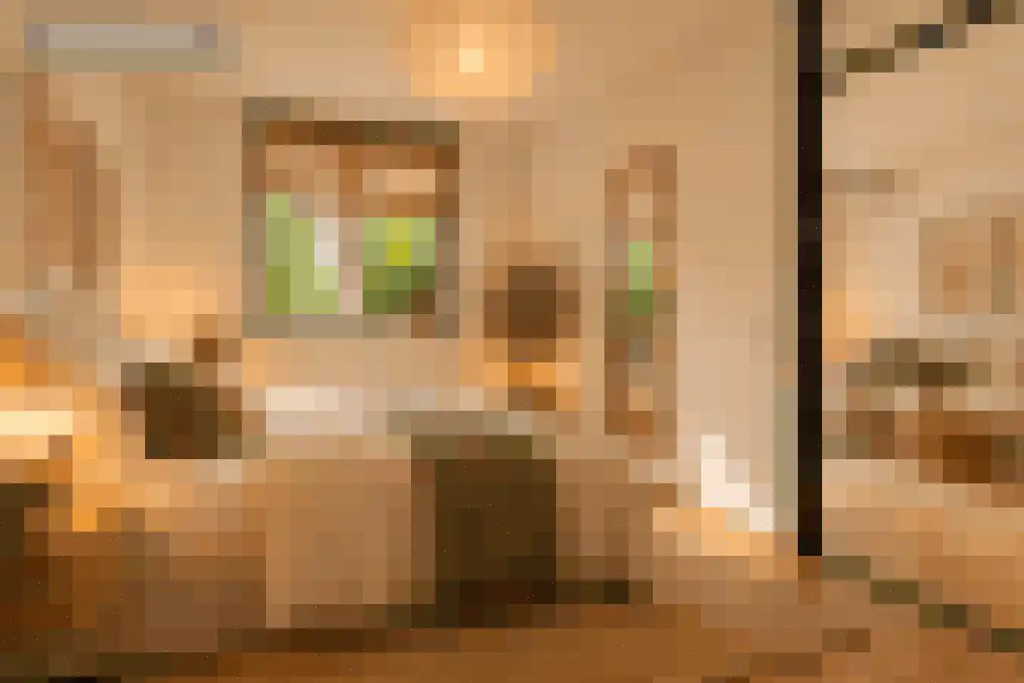 Luit Looymanshof 24 Oudenbosch thumbnail 21