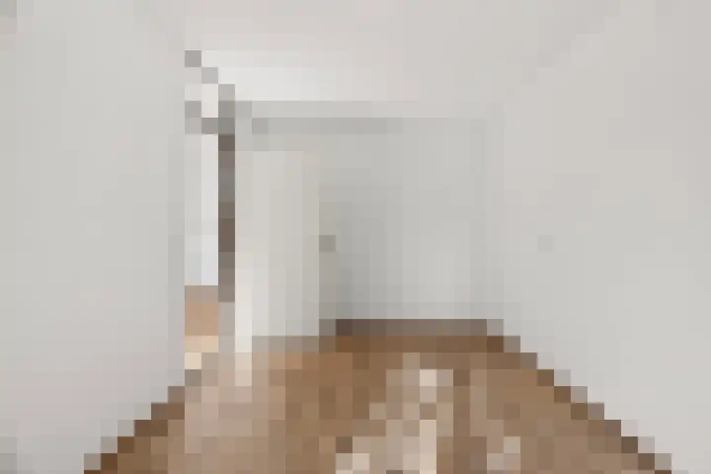 Luit Looymanshof 24 Oudenbosch thumbnail 22