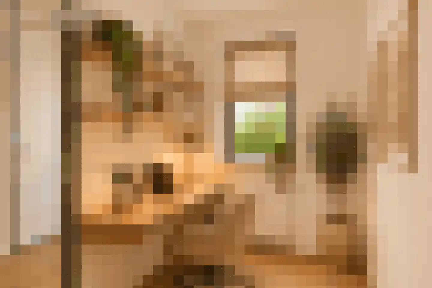 Luit Looymanshof 24 Oudenbosch thumbnail 31