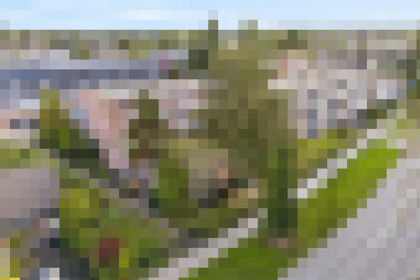 Luit Looymanshof 24 Oudenbosch thumbnail 34
