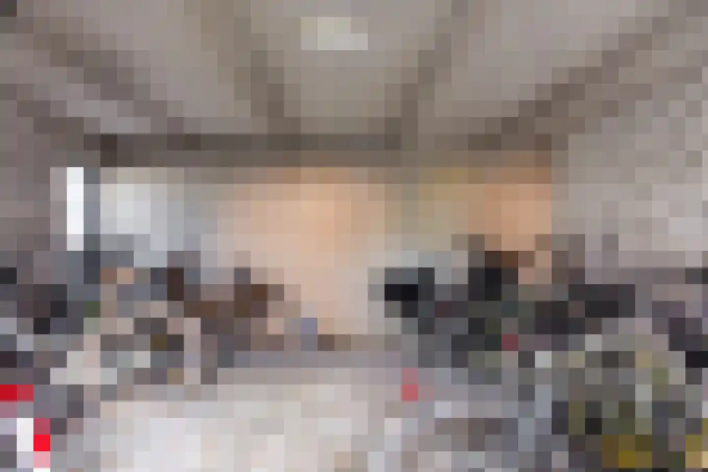 Luit Looymanshof 24 Oudenbosch thumbnail 35