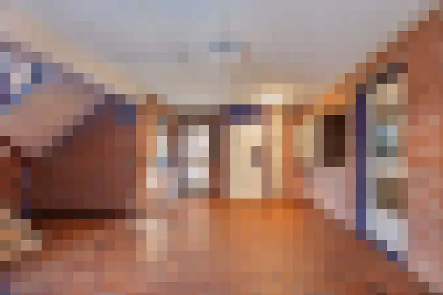 Luit Looymanshof 24 Oudenbosch thumbnail 7